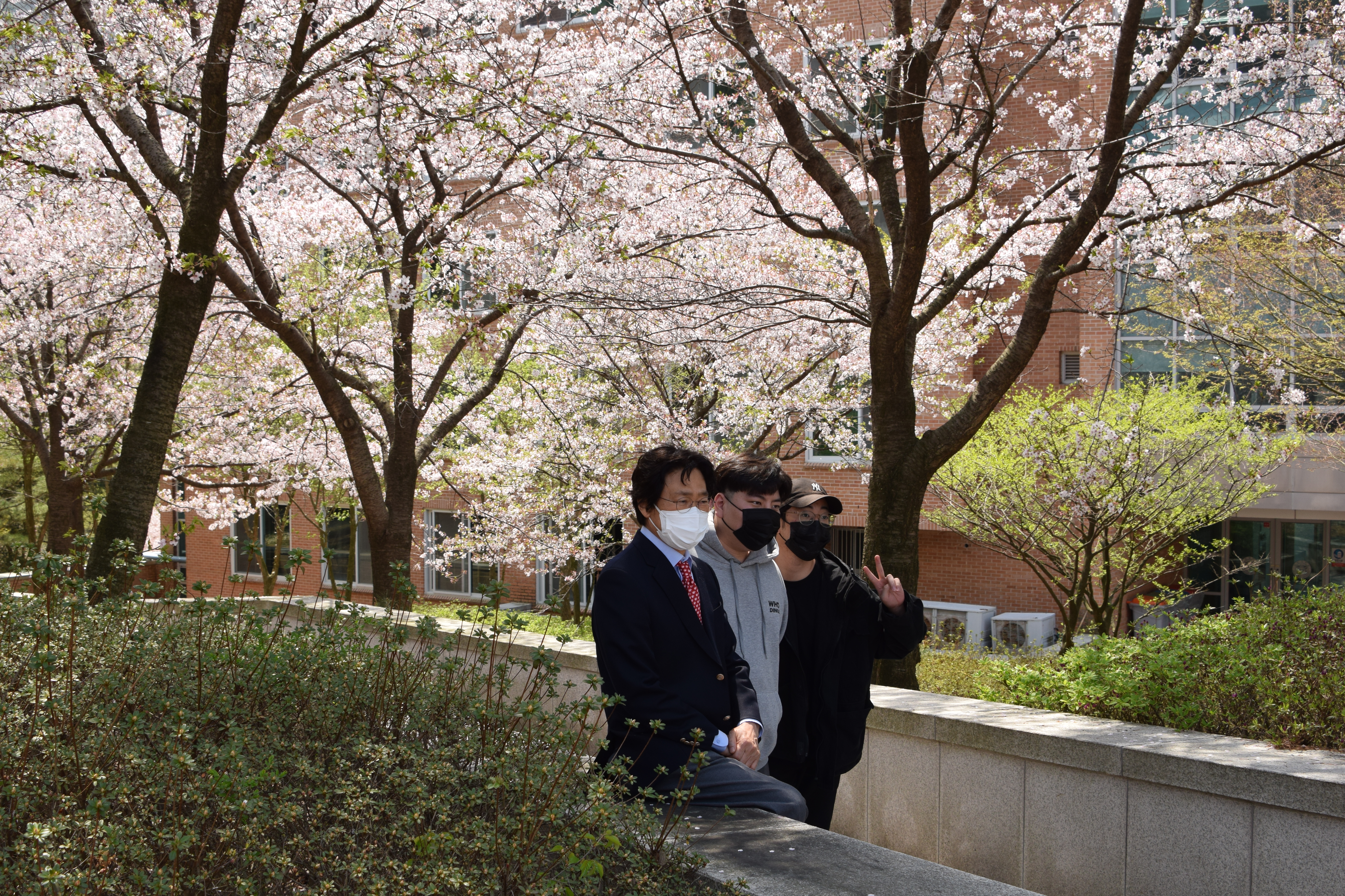 교학지원처, 제19대 총학생회 어썸, 봄, 벚꽃과 함께하는 중간고사 응원 이벤트 열어