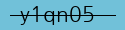 security code