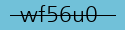 security code